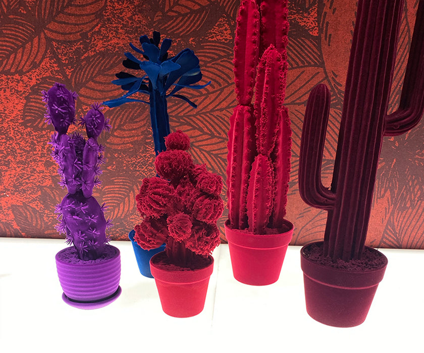 CACTUS Velvet | Adriani e Rossi