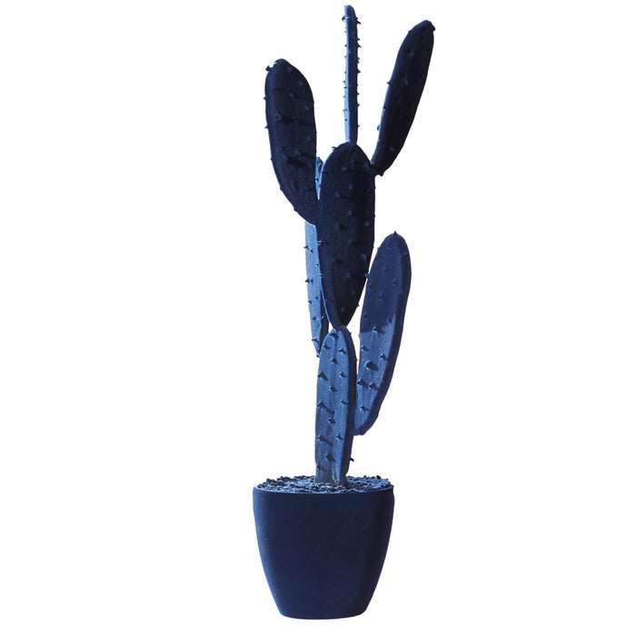 CACTUS Velvet | Adriani e Rossi