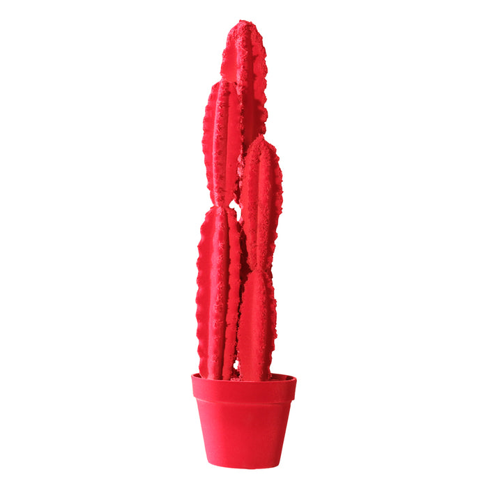 CACTUS Velvet | Adriani e Rossi